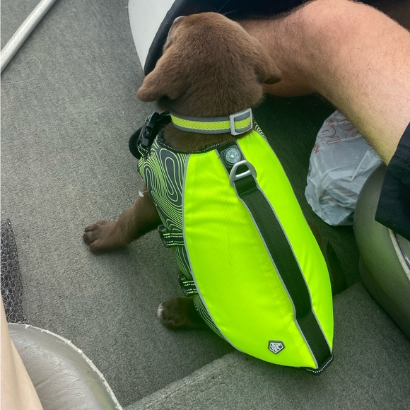 Dog Life Jacket - Picture 3 of 11